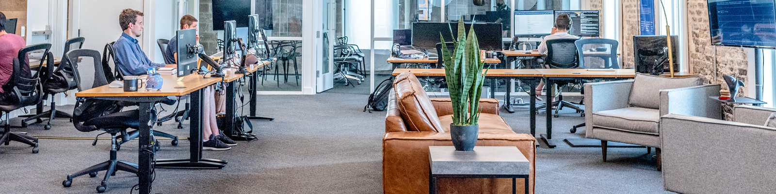 people working at office desks